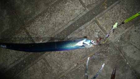 ドラゴンにワイヤー切られ；；