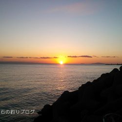 ジャンボサヨリ爆