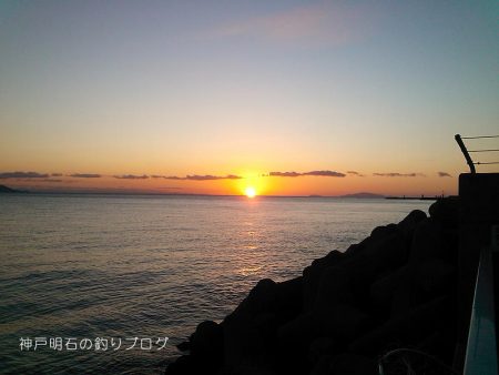 ジャンボサヨリ爆