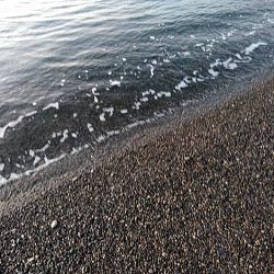 なんと　メジロが釣れました！！