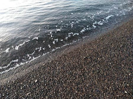 なんと　メジロが釣れました！！