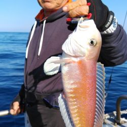 遊漁船 新鋭丸 釣果