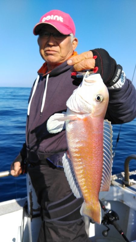 遊漁船 新鋭丸 釣果