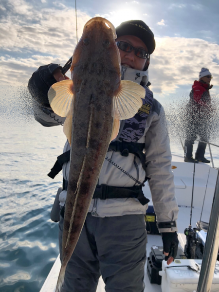 Magic（マジック） 釣果