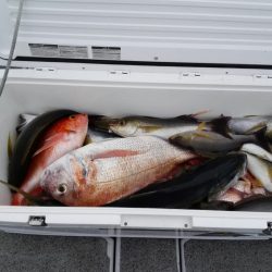 第二大福丸 釣果