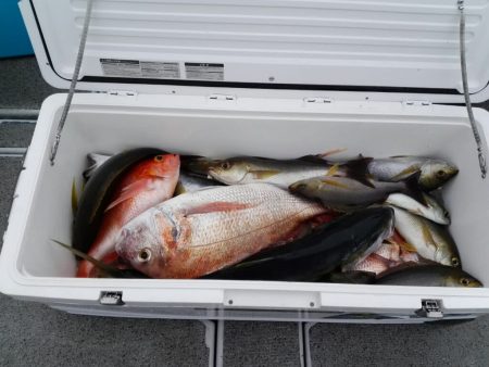 第二大福丸 釣果