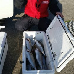 第五慶門丸 釣果