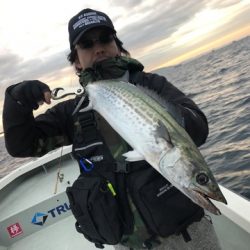 Rush(ラッシュ) 釣果