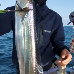 遊漁船 ニライカナイ 釣果