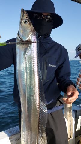 遊漁船 ニライカナイ 釣果