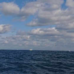 IDATEN(イダテン) 釣果