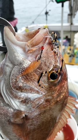 遊漁船　ニライカナイ 釣果