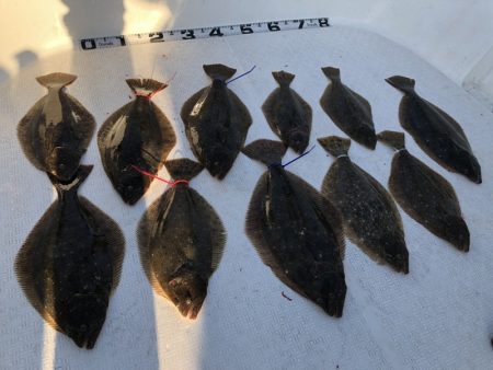 Magic（マジック） 釣果