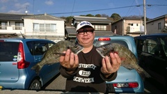 まこと渡船 釣果