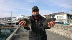 まこと渡船 釣果