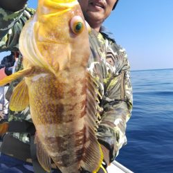 遊漁船 新鋭丸 釣果