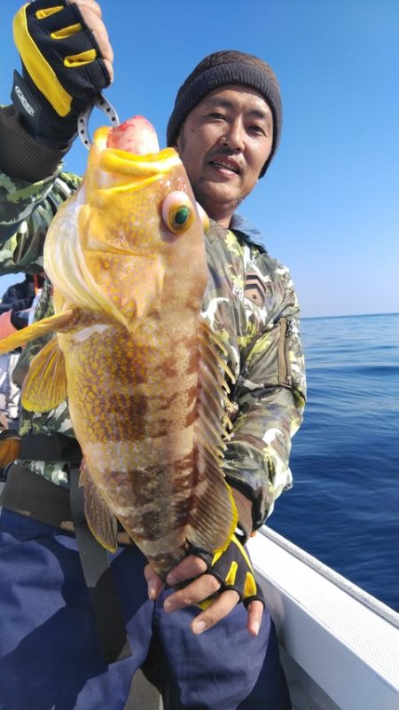 遊漁船 新鋭丸 釣果