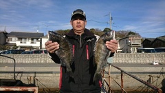 まこと渡船 釣果