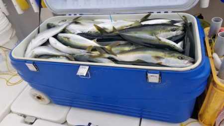 暁〜akatsuki〜 釣果