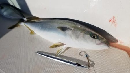 暁〜akatsuki〜 釣果