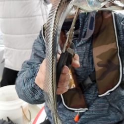 遊漁船 ニライカナイ 釣果