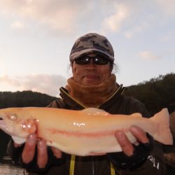 フィッシングレイクたかみや 釣果