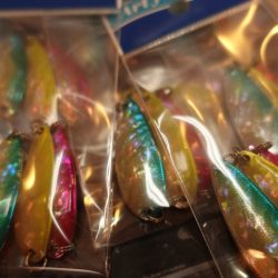 フィッシングレイクたかみや 釣果