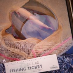 フィッシングレイクたかみや 釣果