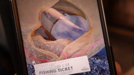 フィッシングレイクたかみや 釣果