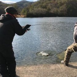 フィッシングレイクたかみや 釣果