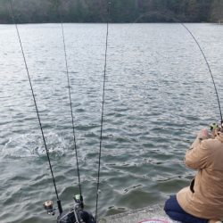 フィッシングレイクたかみや 釣果