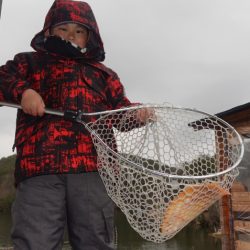 フィッシングレイクたかみや 釣果