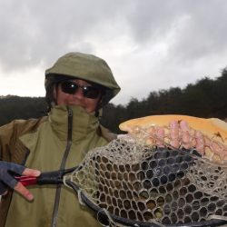 フィッシングレイクたかみや 釣果