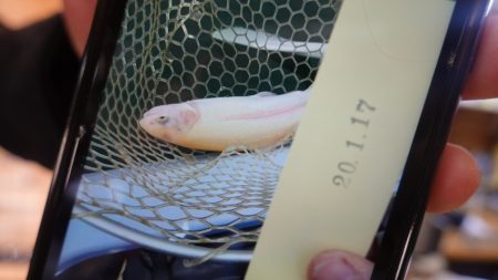 フィッシングレイクたかみや 釣果