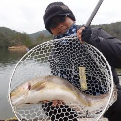 フィッシングレイクたかみや 釣果