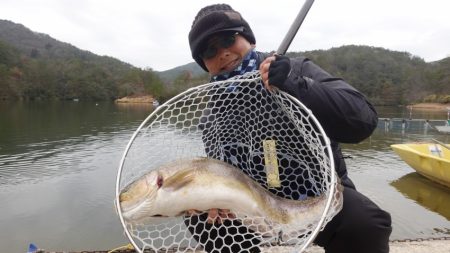 フィッシングレイクたかみや 釣果