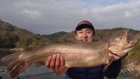 フィッシングレイクたかみや 釣果