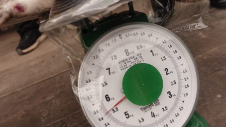 フィッシングレイクたかみや 釣果