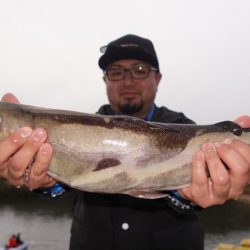 フィッシングレイクたかみや 釣果
