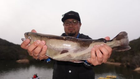 フィッシングレイクたかみや 釣果