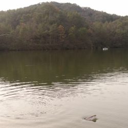 フィッシングレイクたかみや 釣果