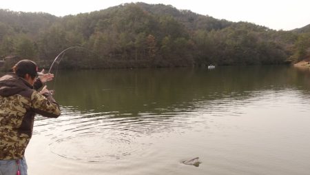 フィッシングレイクたかみや 釣果