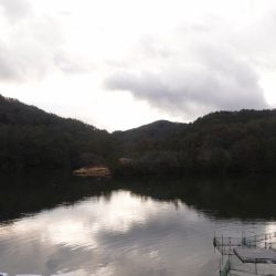 フィッシングレイクたかみや 釣果