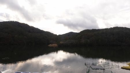 フィッシングレイクたかみや 釣果