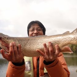 フィッシングレイクたかみや 釣果
