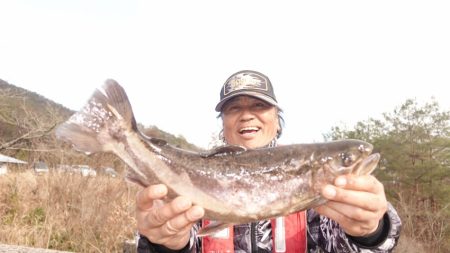 フィッシングレイクたかみや 釣果