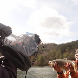 フィッシングレイクたかみや 釣果