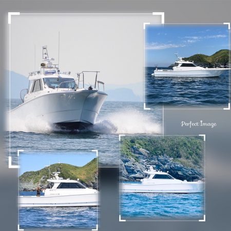 フィッシングボートACE(エース) 釣果