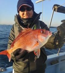 東京湾探釣隊ぼっち 釣果