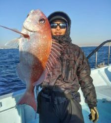 東京湾探釣隊ぼっち 釣果